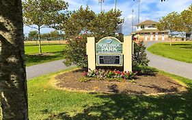 Dolphin Bay I